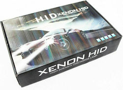 Xenon Σετ Φωτισμού Αυτοκινήτου H10 35W 12V 6000K Ψυχρό Λευκό