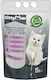 Bentysandy Kitty Max Nisip pentru pisici Lavanda Aglutinare 10lt