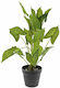 Iliadis Τεχνητό Φυτό σε Γλάστρα Πράσινο 48cm