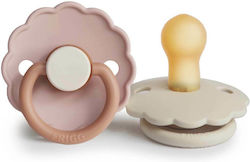 Frigg Schnuller Gummi Daisy Biskuitcreme für 0-...