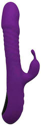 Alive Romax Purple Alive Romax Purple
