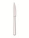 Dinox Neon Knife Steak from Stainless Steel 23.5cm