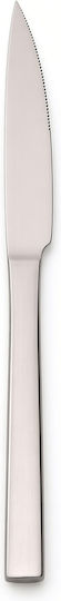 Dinox Neon Knife Steak from Stainless Steel 23.5cm