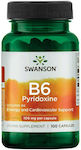 Swanson B6 Pyridoxine Vitamin for Nervous System Health 100mg 100 caps