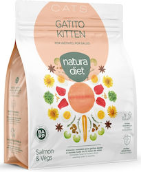 Dingonatura Natura Diet Kitten Dry Food for You...