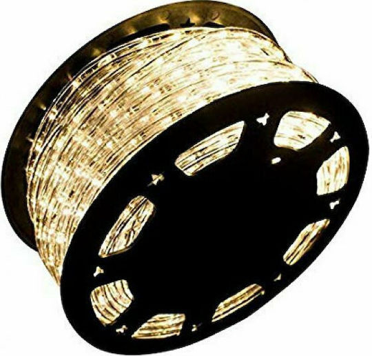 Christmas Light Tube Warm White Two-channel 220V Programmable 50m IP44