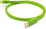 Oyaide D+ Flat USB 2.0 Cable USB-C male - USB-A male Green 2m (CABPC124)