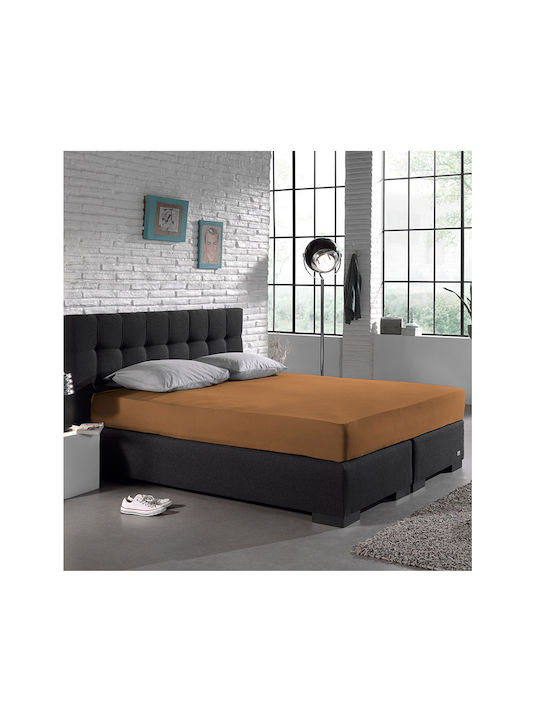 DreamHouse Bettlaken Super-Doppel mit Gummiband 160x200+30cm. Taupe