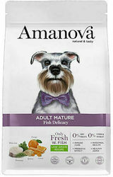 Amanova Adult Mature Amanova Adult Mature