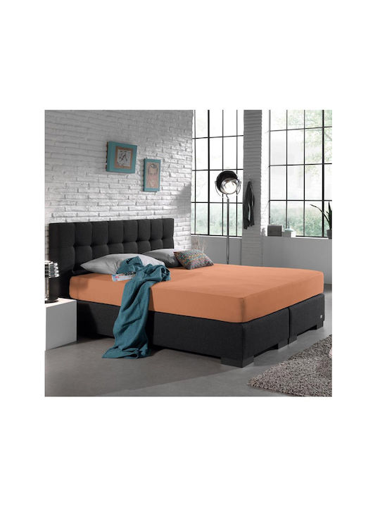 DreamHouse Jersey Σεντόνι King Size με Λάστιχο ...