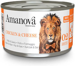 Amanova Natural & Tasty Broth Nasses Katzenfutter für Katze in Dose mit Huhn 70gr 30-181