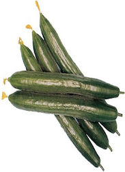 Planty ΕΠΕ Green Baboo F1 Seeds Cucumber 10gr