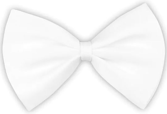 Carnival Bow Tie White