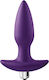 Dream Toys Flirts Anal Plug with Vibration Purple 17.5cm