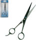 AGC Hair Cutting Trimming Scissor 6"