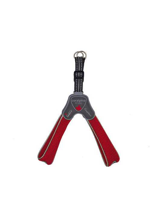 Pet Camelot Ham pentru câini Cinquetorri 2 Roșu 25-35cm C100RD020