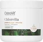 OstroVit Chlorella 1000 ταμπλέτες