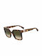 Moschino Sonnenbrillen mit Braun Schildkröte Rahmen und Braun Verlaufsfarbe Linse MOS123/S 05L/9K