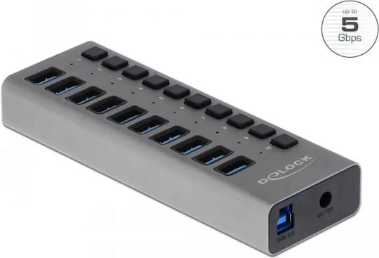 DeLock USB Хъб 10 Порта USB 3.0 с Връзка USB-A Сив