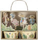 Meri Meri Комплект За Къпкейкове Peter Rabbit Декорация На Сладкиши За Парти 24 Бройки