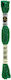 DMC Κλωστή Κεντήματος Etoile C699 Green