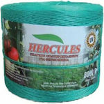 SPTH5 Cordonul de cravată 6000 D, 2 kg, verde