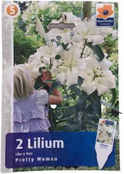 Lily bulb tree bulb white 2pcs.