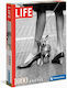 Life Collection Chihuahua Puzzle 2D 1000 Teile