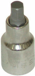 Acesa Bit-Stecknuss mit Inbusschlüssel-Bit und Antriebsvierkant 3/8'' Größe H10 1Stück Acesa Bit-Stecknuss mit Inbusschlüssel-Bit und Antriebsvierkant 3/8'' Größe H10 1Stück