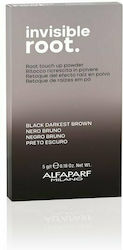 Alfaparf Milano Professional Invisible Root Com...