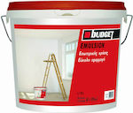 Budget Emulsion Plastic Paint for Interior Use White 9lt