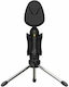 Behringer BV4038 Μικρόφωνο USB Επιτραπέζιο για Studio