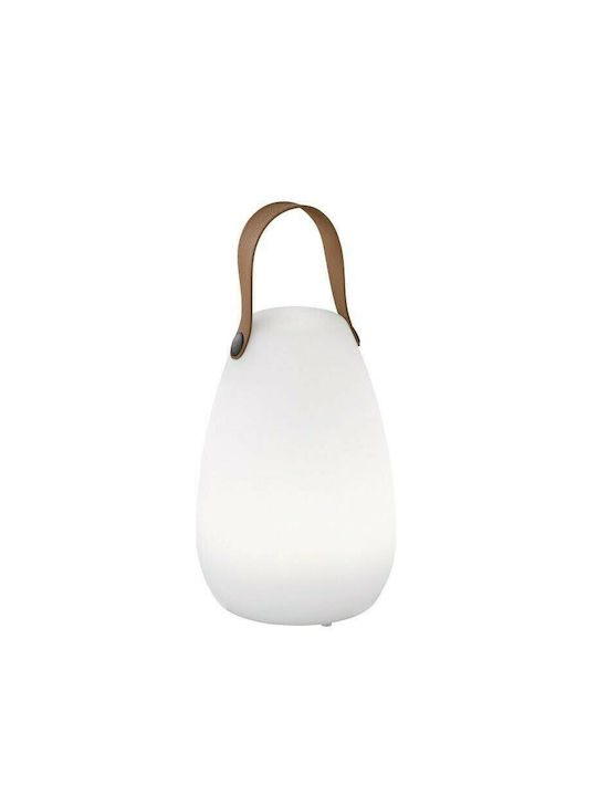Fischer Honsel Ruby Desktop LED Lamp Fischer Honsel Ruby Desktop LED Lamp