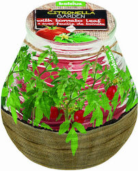 Bolsius Insect Repellent Candle 100gr