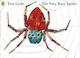 The Very Busy Spider, В меки корици