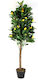 Künstlicher Baum für den Außenbereich Zitronenbaum Green 120cm The Home Deco Factory