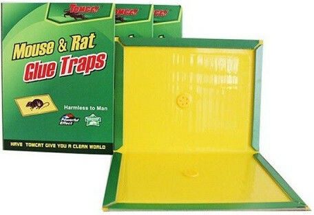 Glue Trap CHTR66522 1pcs