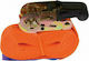 Damesa Car Luggage Strap with Ratchet Orange 500x0.25cm