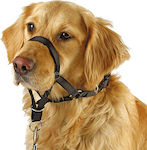 Kerbl Dog Muzzle Training 54cm