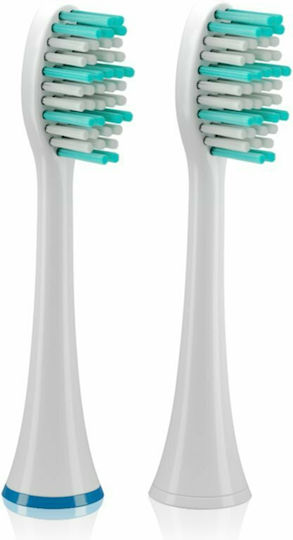TrueLife SonicBrush UV Standard Replacement Heads for Duo Pack 2pcs