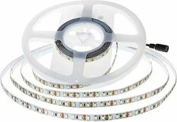 V-TAC Bandă LED Alimentare 24V cu Lumină Alb Cald Lungime 5m și 126 LED-uri pe Metru