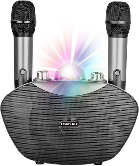 Karaoke Speaker with Wireless Microphones and Lighting Effects KTV Y-8 Silver