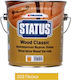 Thrakon Status Wood Classic Βερνίκι Επιφάνειας Πεύκο Γυαλιστερό 750ml