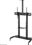 PLASMA-M1950E TV Mount Floor up to 100" and 100kg