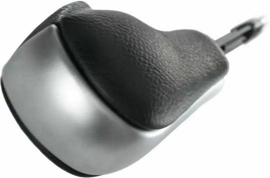 Universal BMW E46 E46/E39/E60/X3 E83/X5 E53 Silber