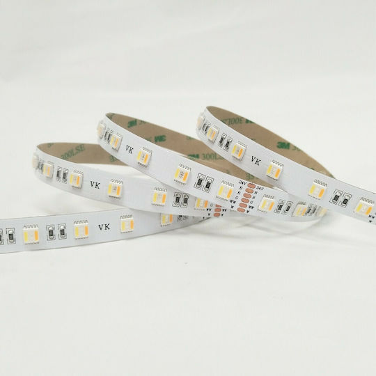 VK Lighting Ταινία LED 24V RGBW Φως 5m Τύπου SMD2835