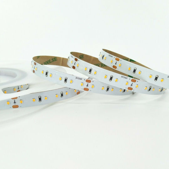 VK Lighting Ταινία LED 24V Θερμό Λευκό Φως 5m Τύπου SMD2216