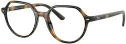 Ray Ban Thalia Παιδικός Κοκκάλινος Σκελετός Καφέ Ταρταρούγα