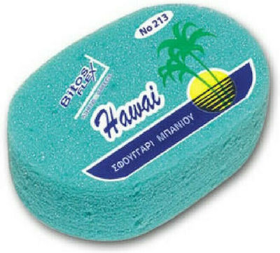 Classic Bath Sponge Oval Turquoise