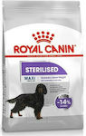 Royal Canin Maxi Sterilised 12kg Trockenfutter für sterilisierte erwachsene Hunde großer Rassen mit Mais und Geflügel